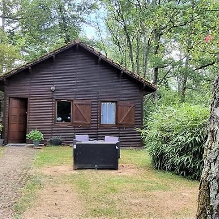 Balledent Weir Cottage מראה חיצוני תמונה